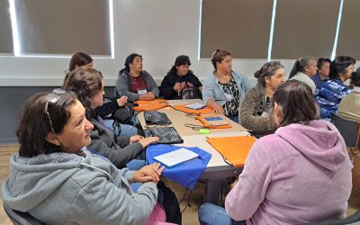 Finaliza trabajo diagnóstico en las comunidades del proyecto de Innovación Social en Mujeres del Biobío y Ñuble